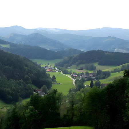 Ruhige Schwarzwald Ferienwohnung Buchenbach  Extérieur photo