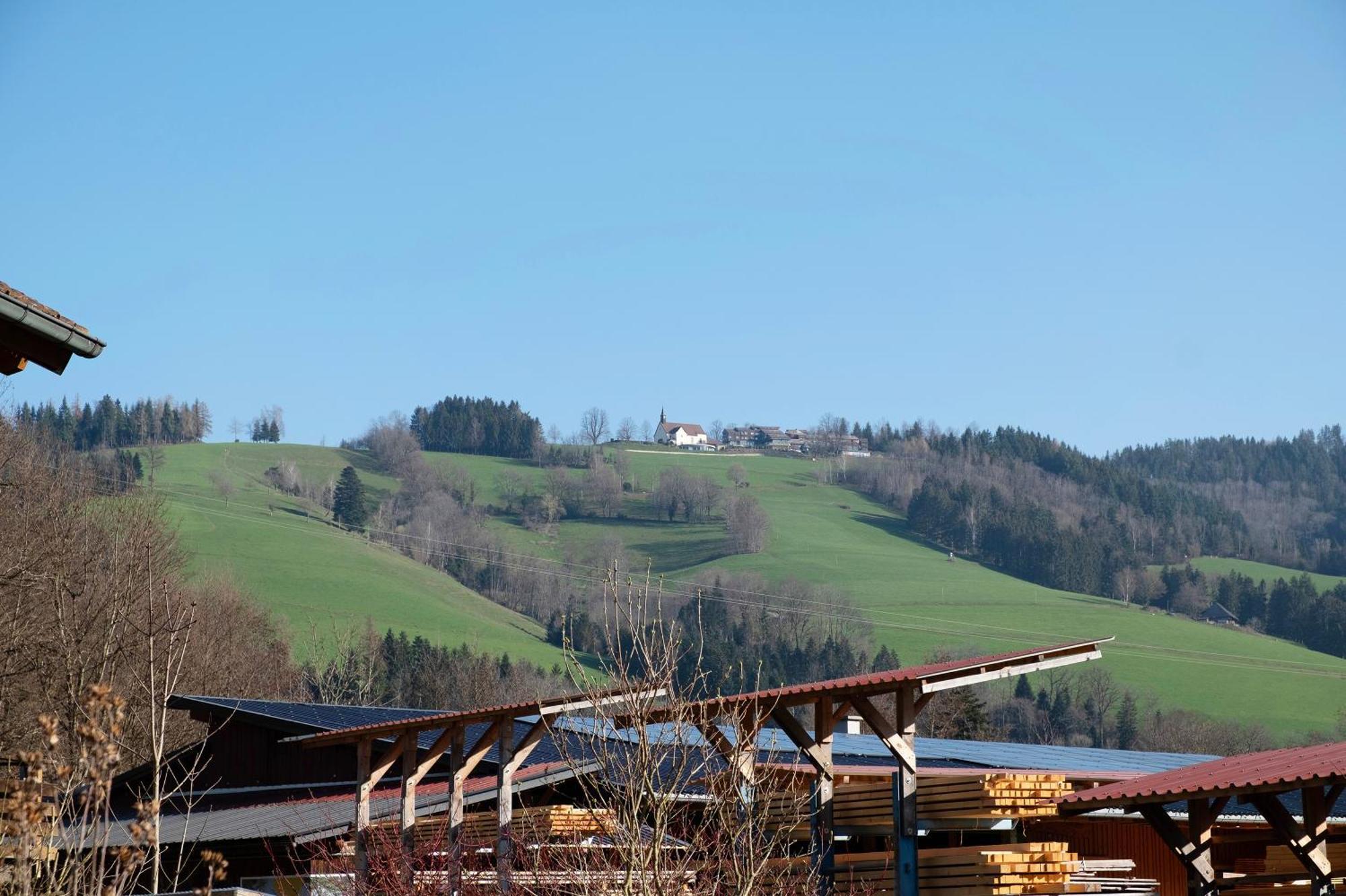 Ruhige Schwarzwald Ferienwohnung Buchenbach  Extérieur photo