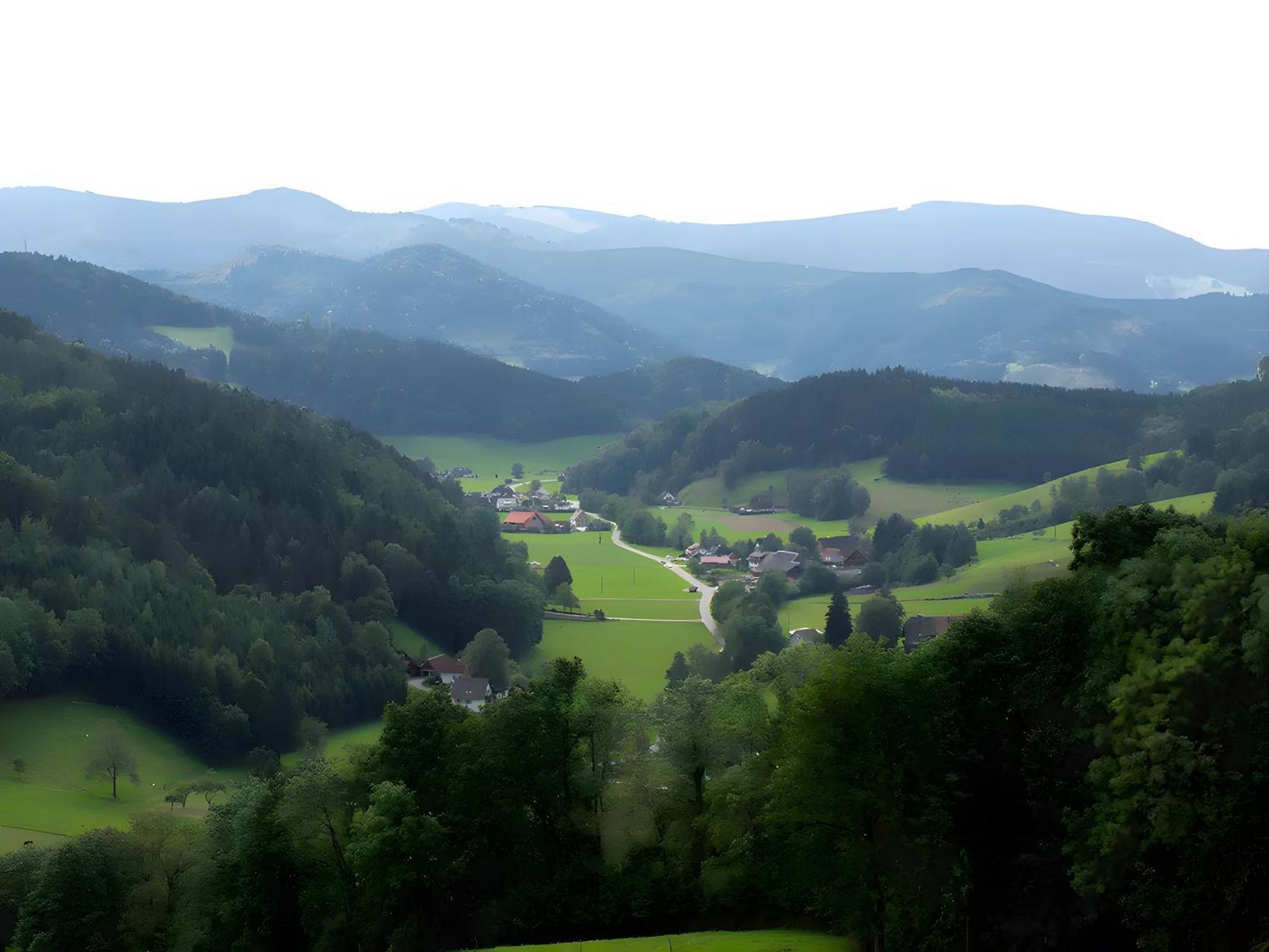 Ruhige Schwarzwald Ferienwohnung Buchenbach  Extérieur photo